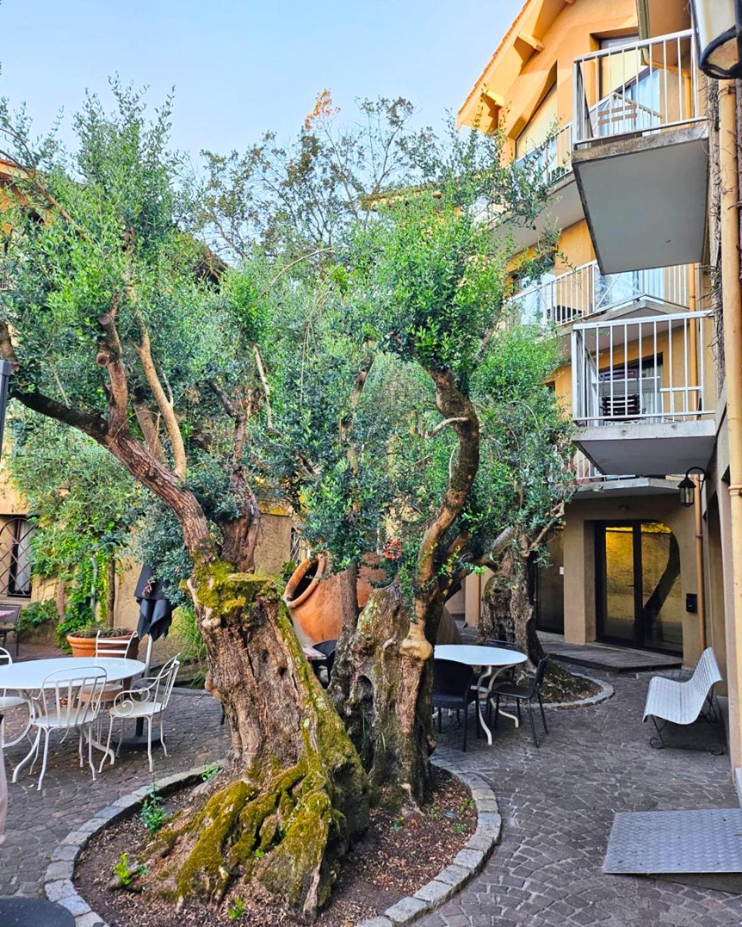 Cit'hotel Le Lyrique